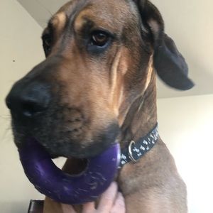 Meet your Posher, Corie